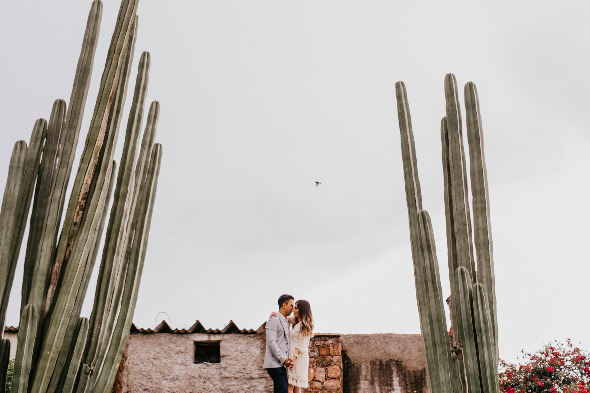 Esther y Daniel entre los cactus